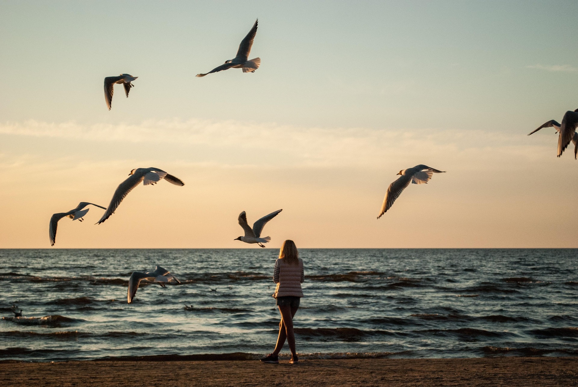 dmytro_r-lonely-5122894_1920